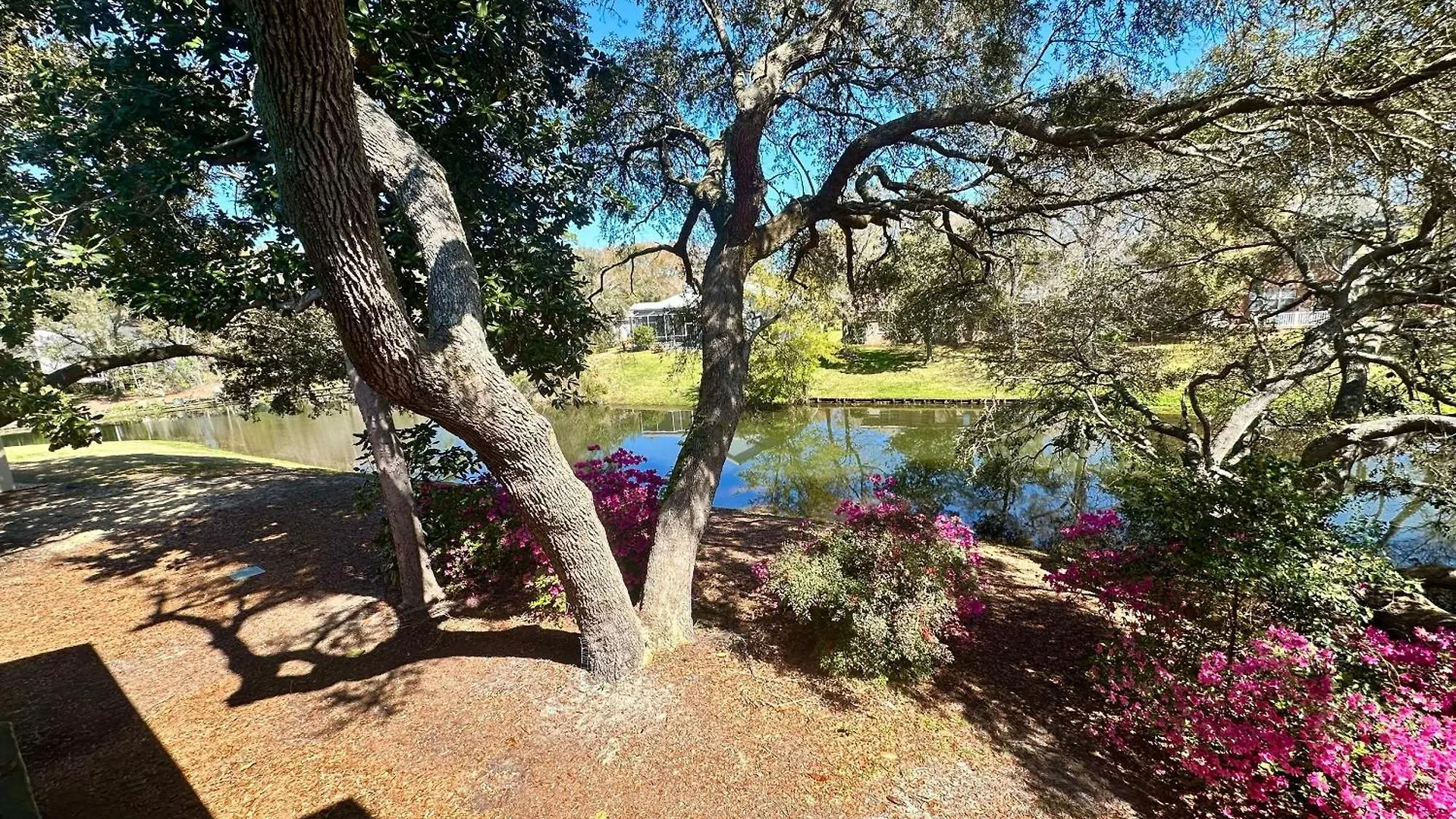 Apartment Chic Condo With Nature View Pool Golf Marina With Fee United States
